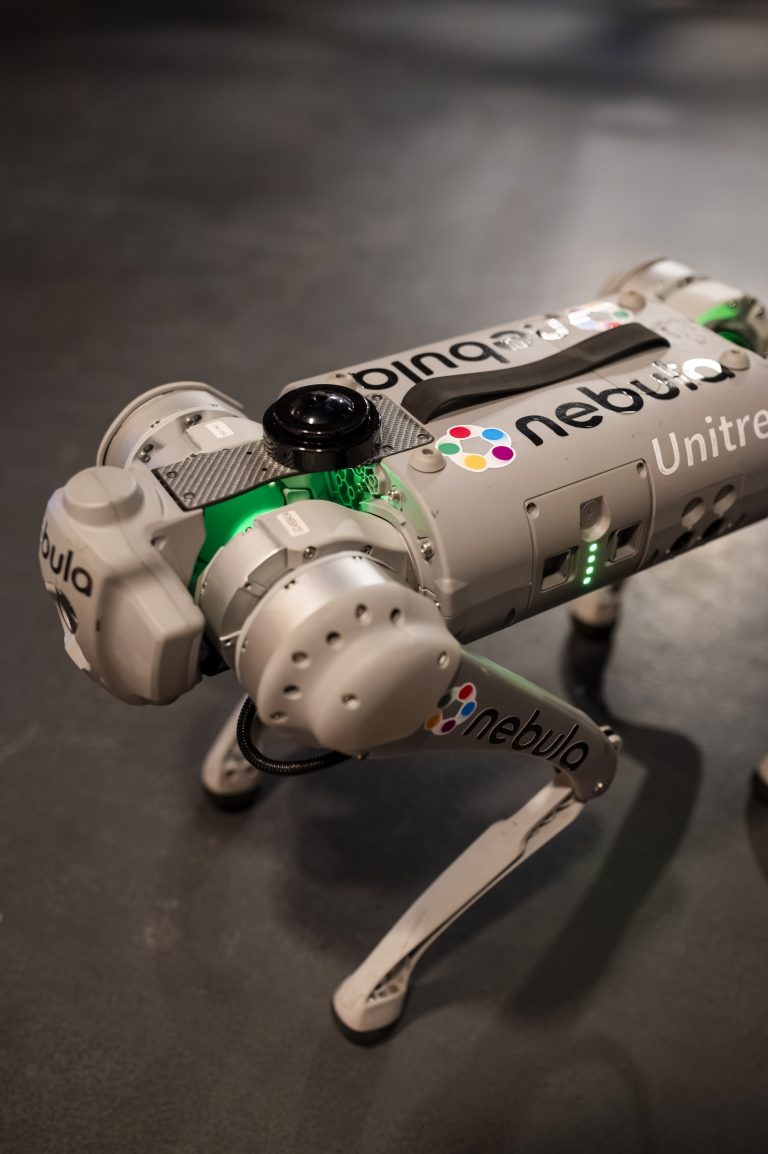Wake The Robots 2025